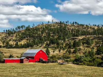 Weekend : Immersion dans une&nbsp;ferme